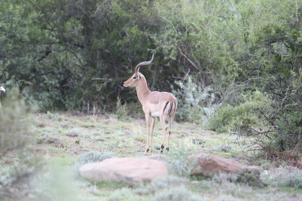 Ko Ka Tsara Bush Camp Villa Beaufort West Exterior photo